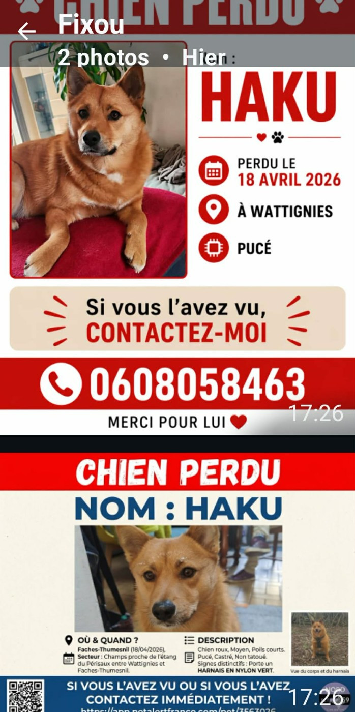 SOS. Aidez une famille